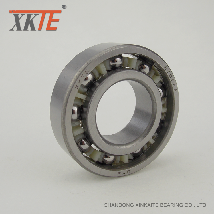 Polyamidbur BB1B420204 C3 Bearing For Idler Roller