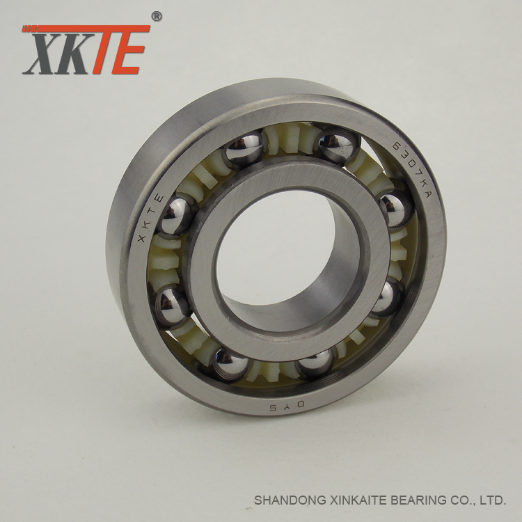 BB1B420307 C3 Bearing