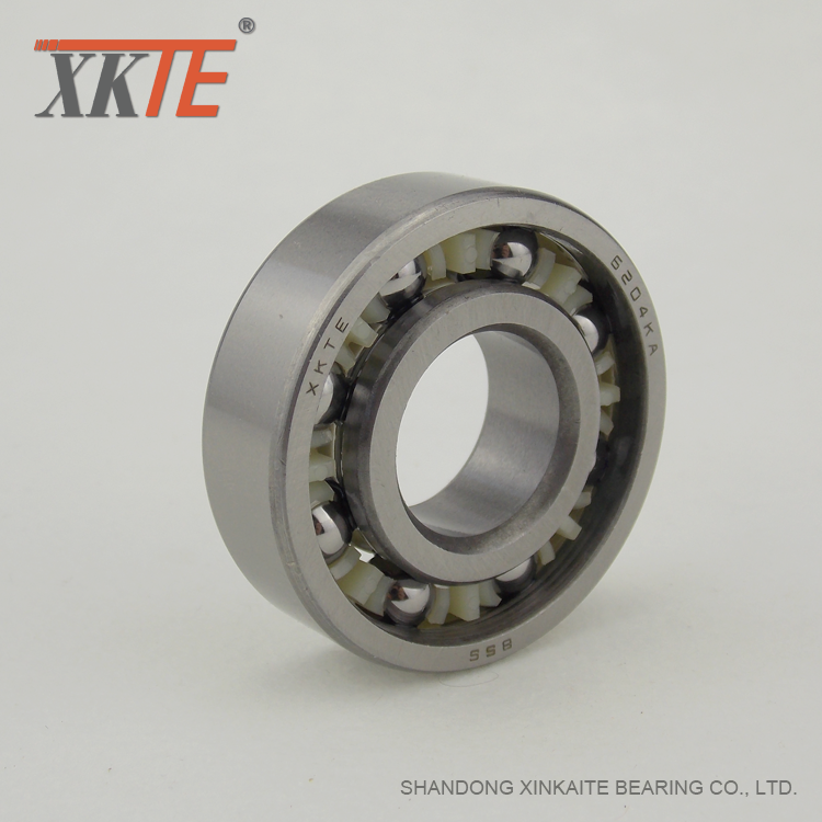 Polyamidbur BB1B420204 C3 Bearing For Idler Roller