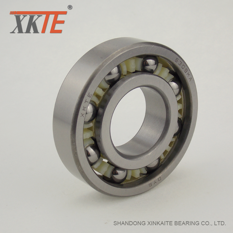 Lapping Groove BB1B420308 C3 PA 66 Cage Idler Bearing