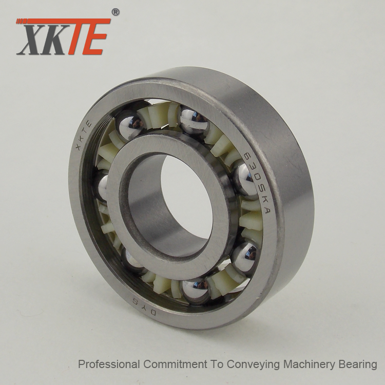 BB1B420305 C3 Bearing