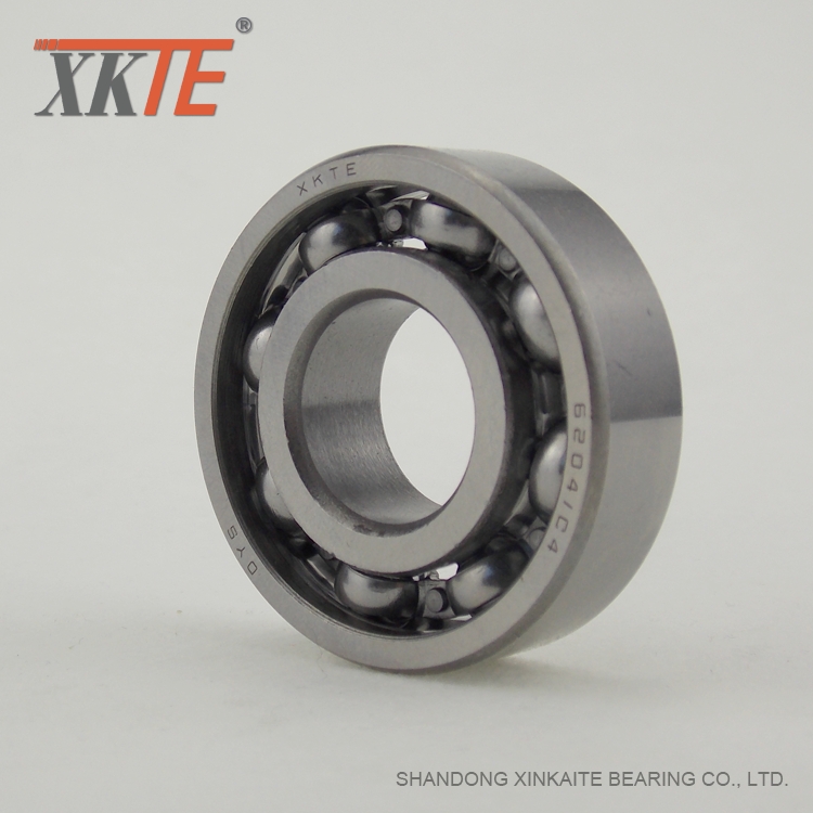 6204 C4 Bearing