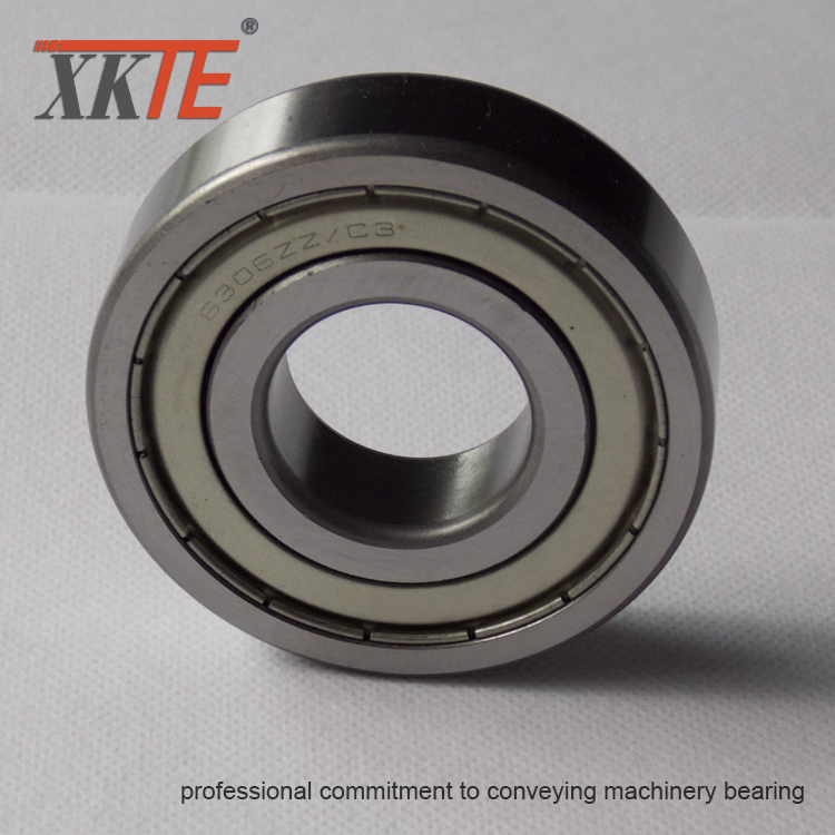 Iron Shielded 6305 ZZ Bearing For Conveyor Applications