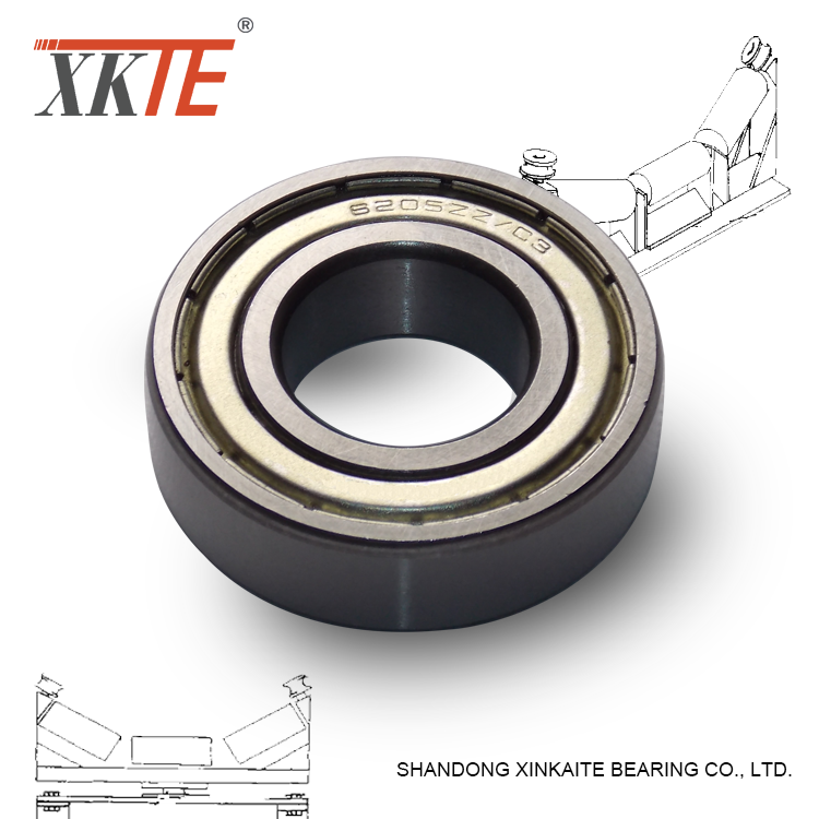 6205 Zz C3 Iron Shielded Bearing