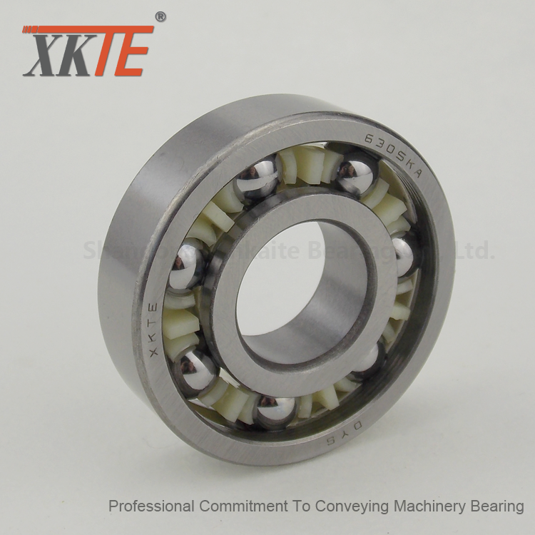 Deep Groove Ball Bearing För Transportör Carrier Idler Parts